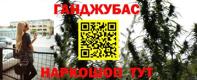 сатива Краснознаменск