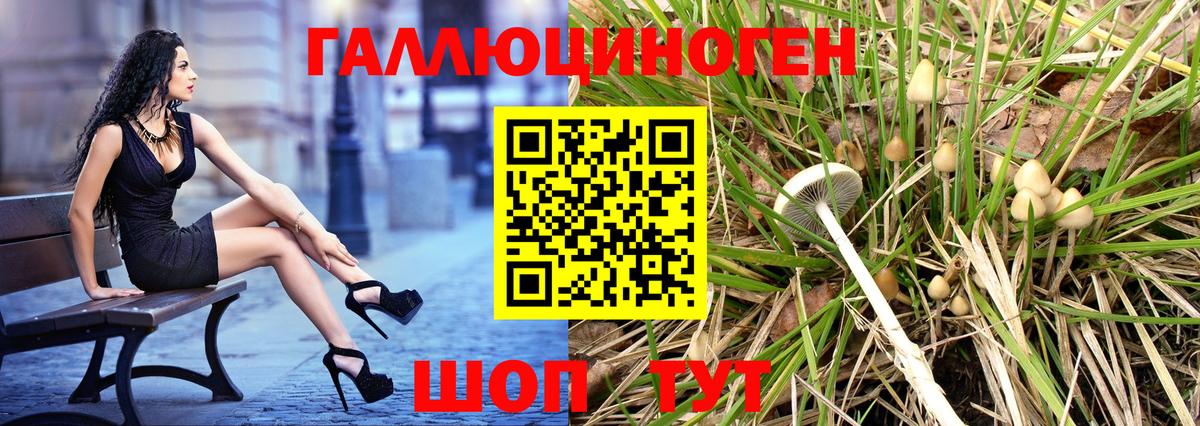 Галлюциногенные грибы ЛСД Ростов Великий