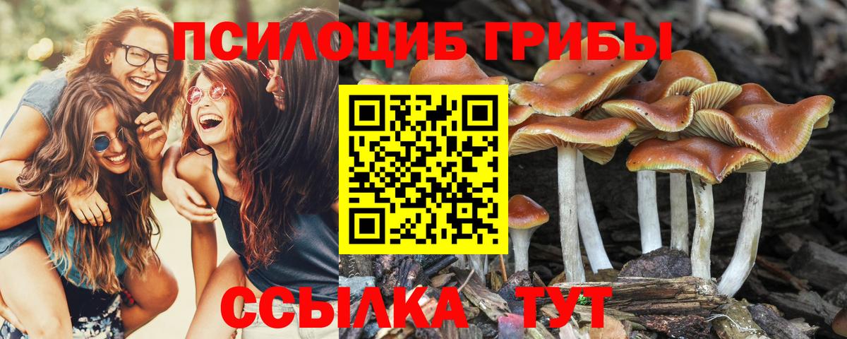 Псилоцибиновые грибы мухоморы  Псилоцибиновые грибы прущие грибы  купить наркотики сайты  Ростов Великий  Вход с VPN 